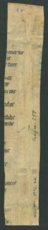 Der leken spiegel : Fragm. 259