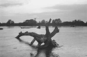 Am Grenzfluss in Guatemala (Lateinamerika-Aufenthalte 1934/1942 – 5. Mexiko 1937)