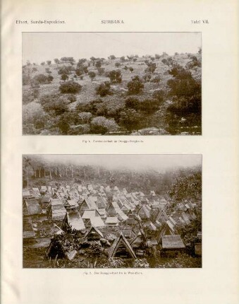 Tafel VII. Sumbawa. Fig. 1. Parklandschaft im Donggo-Berglande. Fig. 2. Das Donggo-Dorf Oo in West-Bima