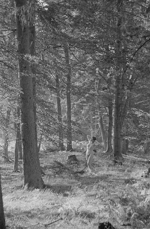 Aktaufnahme Renate Rössings in einem Wald