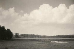Moritzburger Teichgebiet. Landschaft mit Teich, Wald, Hügelland