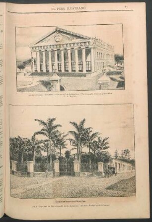 [Vista de] Lima - Facultad de Medicina - El Jardín Botánico. : (De foto. de Bacigalupi & Cabieses.)