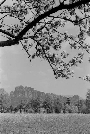 Bad Schandau. Feldmassiv bei Postelwitz in der Sächsischen Schweiz