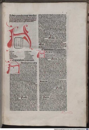 Liber pandectarum medicinae : mit Brief an Kardinal Francesco Gonzaga von Matthaeus Moretus