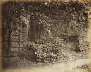 Mittelgrundstudie: Partie mit Mauer und Weg im Schlosspark