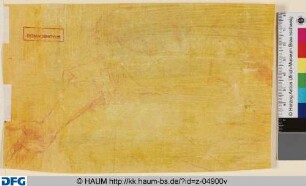 Skizze eines rechten Armes