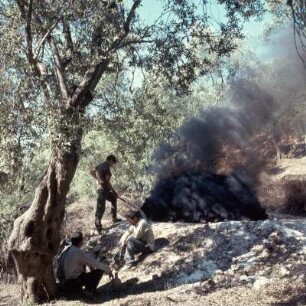 Lesbos, Kalkbrennofen im Ölbaumhain, bei Agiássos. P63