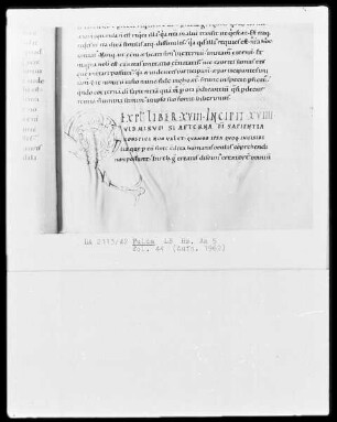 Gregor, Moralia in Job, liber 17-22 — Initiale Q, Folio 44recto