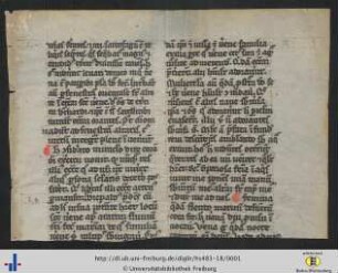 Legenda de sancta Verena.