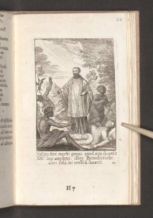Apotheosis Aesculapy morbos omnes curantis.