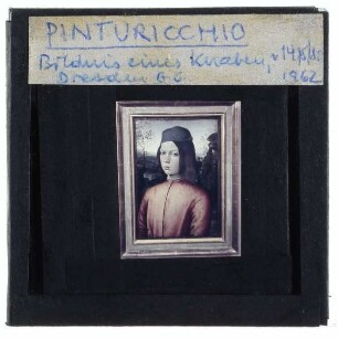 Pinturicchio, Bildnis eines Knaben