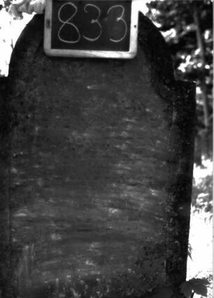 Grabstein 833 (Index: 100102907) Material: Sandstein Zustand: stark verwittert Maße HxBxT: 115x61x9 cm Beschreibung: Stele, eingezogener Rundbogenabschluss, eingetieftes Schriftfeld mit Konvexbogenabschluss: Grabstein 833 (Detailaufnahme)
