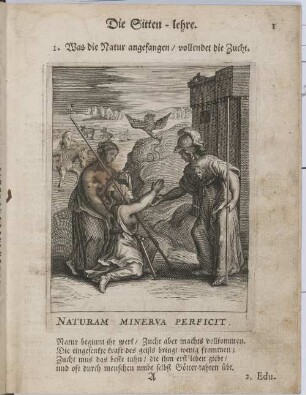 NATURAM MINERVA PERFICIT