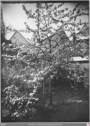 Garten Hindenburgstraße 7 in Kronberg