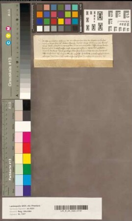 Johann von Cuesin, Schöffe zu Köln, quittiert wegen Costin Pantaleon, über achteinviertel Gulden Leibzuchtrente.