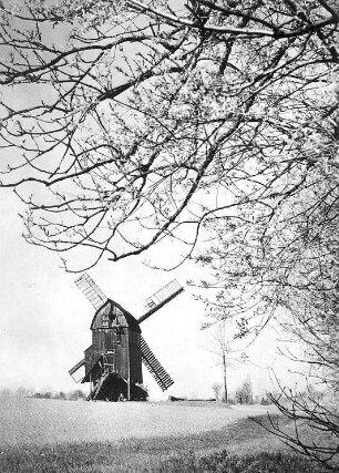Ballstädt. Breithaupt Mühle, Bockmühle (1834 in Engersdorf/Schönebeck erbaut, 1930 umgesetzt nach Ballstädt), Ansichtskarte