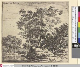 [Waldige Flusslandschaft mit kleinem Hügel; A Little Hill With Two Trees; Landschap met twee bomen op een heuvel]