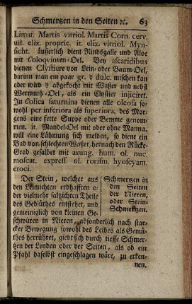 Schmertzen in den Seiten der Nieren, oder Stein-Schmertzen