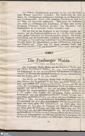 Die Freiberger Mulde