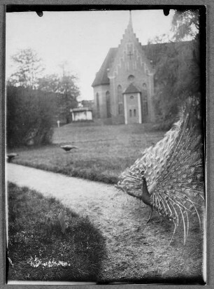 Wörlitz