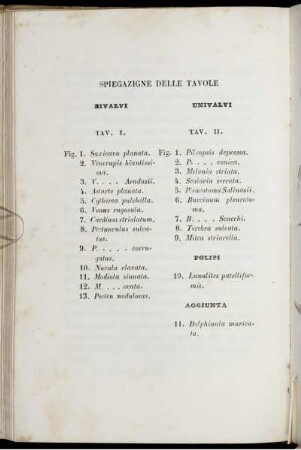 Spiegazione Delle Tavole