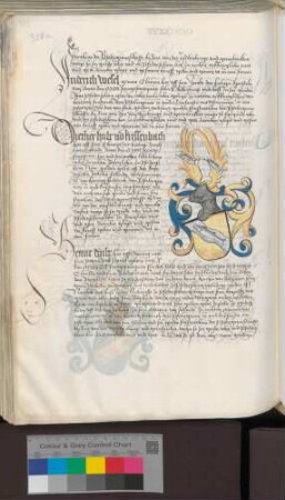Henne Dube [Taube]