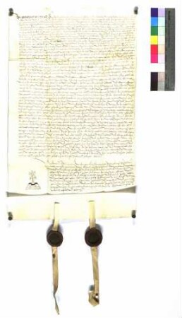 Notariatsinstrument; Ulrich Kastner, Notar, bestätigt den Verzicht der Helene von Hohenlohe, Klosterfrau in Lichtenstern.