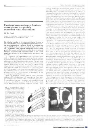 Functional reconnections without new axonal growth in a partially denervated visual relay nucleus