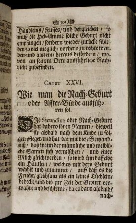 Caput XXVI. Wie man die Nach-Geburt oder Affter-Bürde ausführen sol. - Cap. XXXIII. Von übermässigen Blut-Fluß.