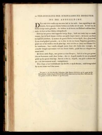 De XXII. Afbeelding