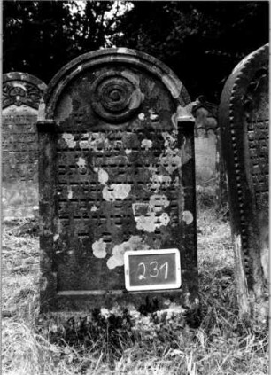 Grabstein 231 [Nir S. 138 Nr. 14.05]