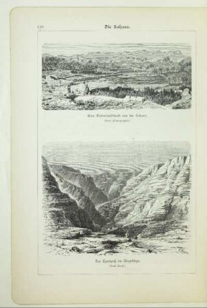 Eine Oasenlandschaft aus der Sahara