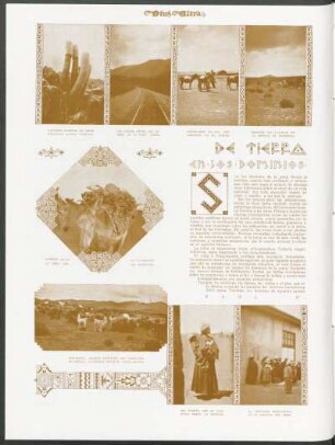 De tierra adentro - En los dominios de la puna