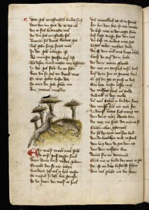 Wolf und trächtiges Schwein; (Vom Wolf und dem Schwein, Kapitel XXVIII nach Pfeiffer)