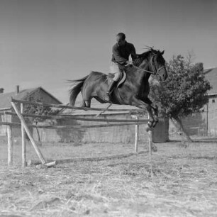 Reitsport in Peruschtiza