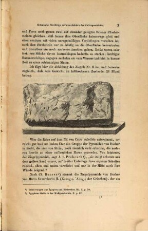 Botanische Streifzüge auf dem Gebiete der Culturgeschichte, VII