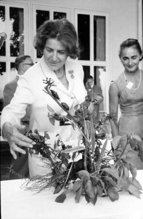 17. Tagung 1967 Chemiker; Maikäferrede: Frau Pragher, R. Schmid