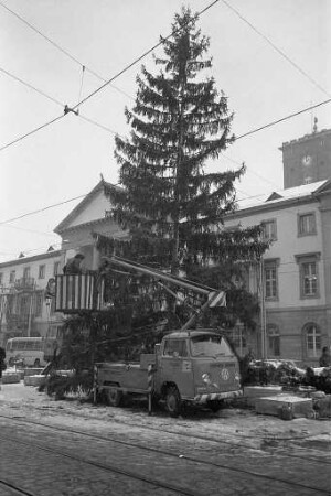 Christbäume im Karlsruher Stadtgebiet