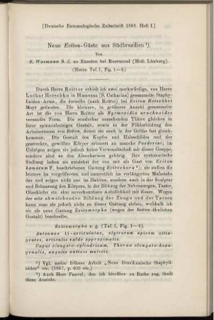 Neue Eciton-Gäste aus Südbrasilien