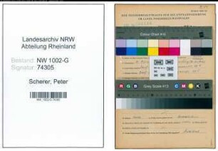 Entnazifizierung Peter Scherer, geb. 11.03.1893 (Kaufm.Angest.)