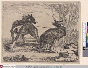 [Zwei Hunde vor einem Baum; Two Dogs in front of a Tree]