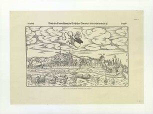 Ulm von Süden. Um 1550