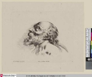 [Kopfstudie eines emporblickenden Greises, im Profil; Tête de vieillard à demi-chauve ...; Study of the head of an old man ...]