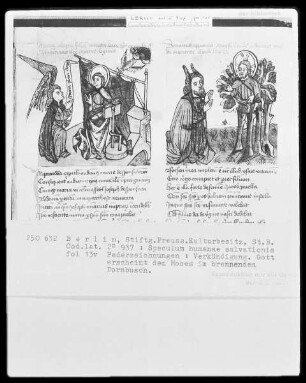 Speculum humanae salvationis — ---, Folio 13versoBuchseite
