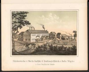 Mühlenwerke v. Moritz Gaitsch & Drahtnagelfabrik v. Gebr. Wapler in Gross-Bauchlitz bei Döbeln