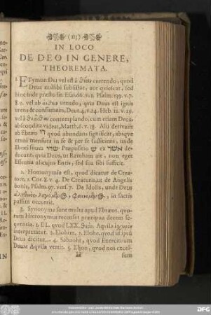 In Loco De Deo In Genere, Theoremata.