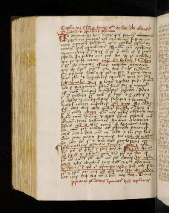 Guilelmus Peraldus: Summa virtutum. Cap. XIX. De fide. Capitulum XIX in summa virtutum tractatu de fide ubi ostenditur trinitas et equalitas personarum