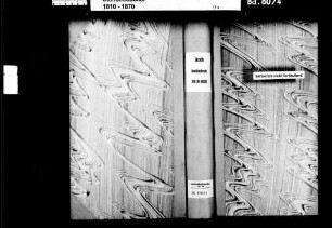 Rot, katholische Gemeinde: Standesbuch 1810-1820