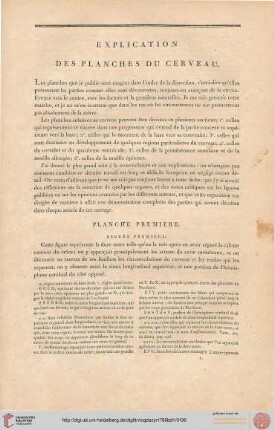 Explication des planches du cerveau
