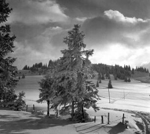 Allgäer Alpen, An den Hörnern